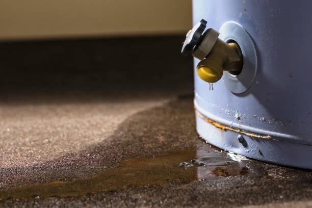 Best Water damage restoration insurance claims  in Marion, PA