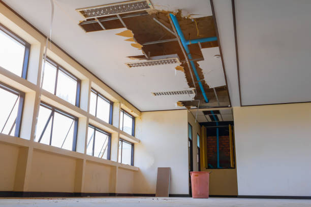 Best Carpet water damage restoration  in Marion, PA