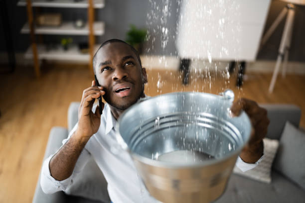 Best Flood damage cleanup  in Marion, PA
