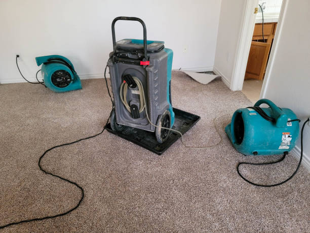 Best Professional water damage repair  in Marion, PA