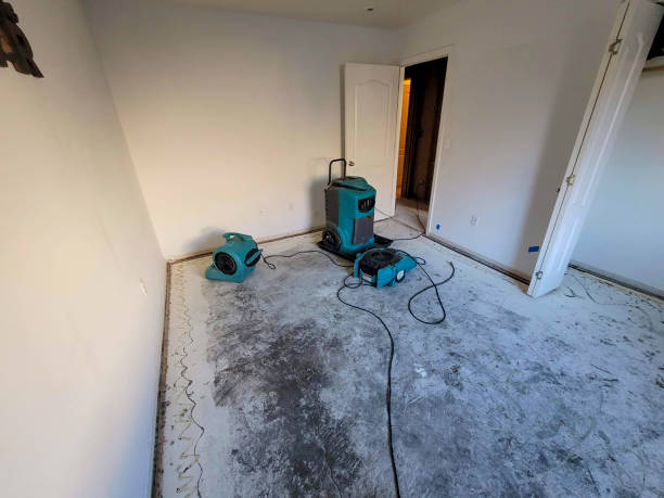 Best Ceiling water damage repair  in Marion, PA