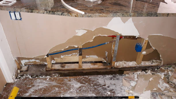 Best Water damage cleanup near me  in Marion, PA