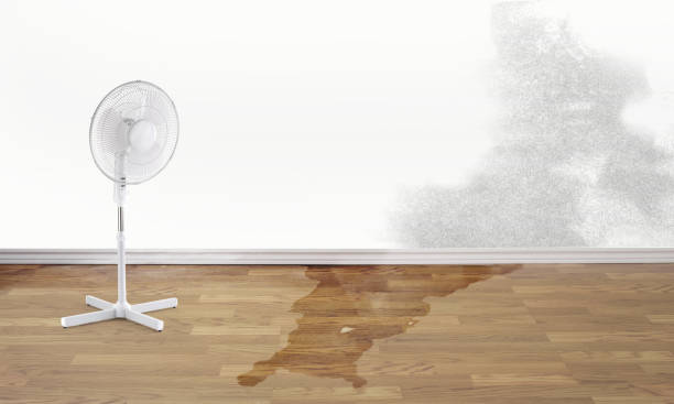 Best Local water damage restoration  in Marion, PA
