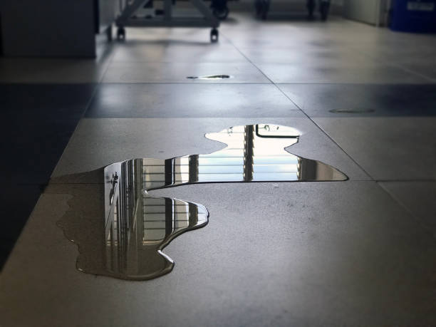 Best 24/7 water damage repair  in Marion, PA