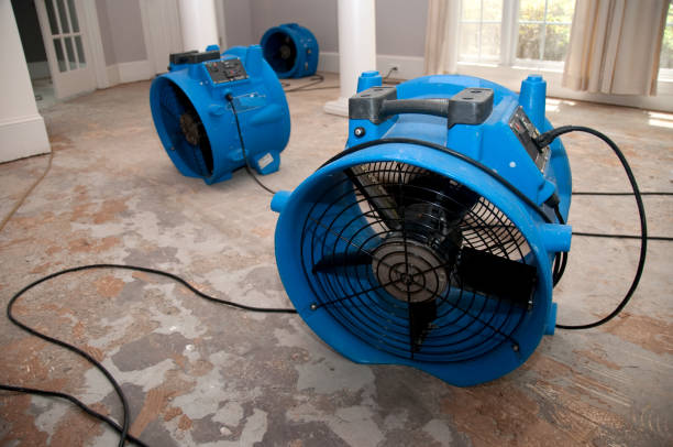Best Water damage restoration mold remediation  in Marion, PA
