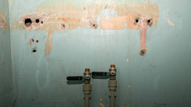 Best Professional water damage repair  in Marion, PA