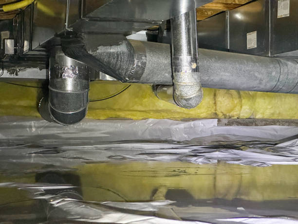 Best Water damage repair service  in Marion, PA
