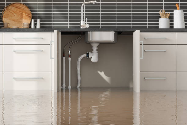 Best 24/7 water damage repair  in Marion, PA