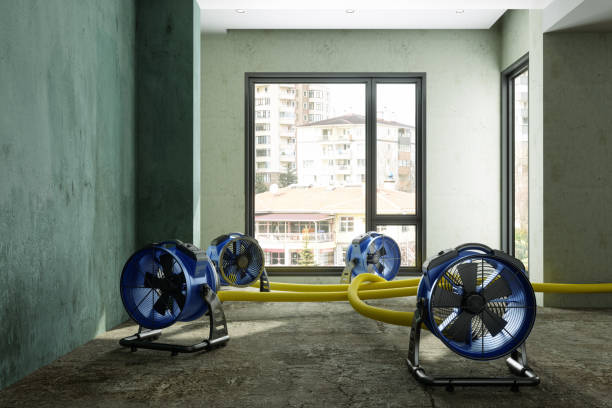 Best Basement water damage restoration  in Marion, PA